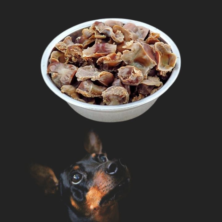 Can Dogs Eat Turkey Gizzards?