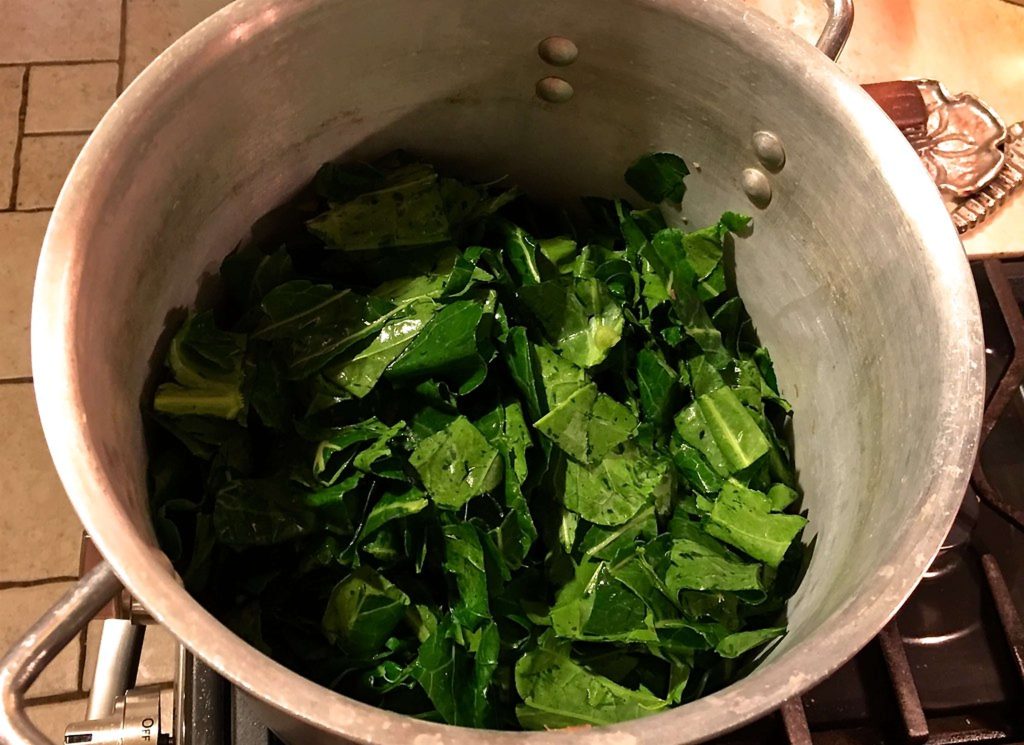 Can Dogs Eat Collard Greens?