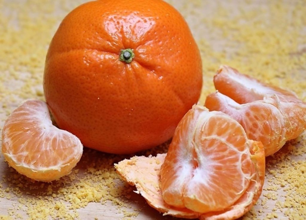 Can Dogs Eat Mandarins?