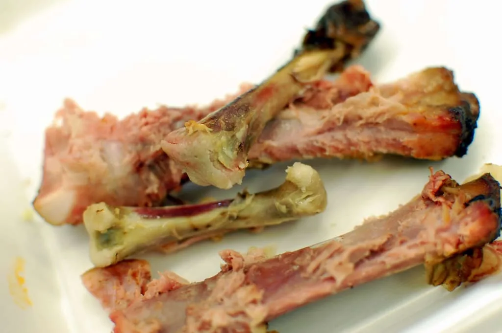 Can Dogs Eat Turkey Bones?