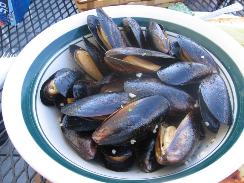 Can Dogs Eat Mussels